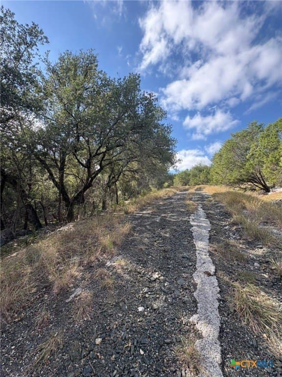 0.27 acres in Burnet County gallery image 3