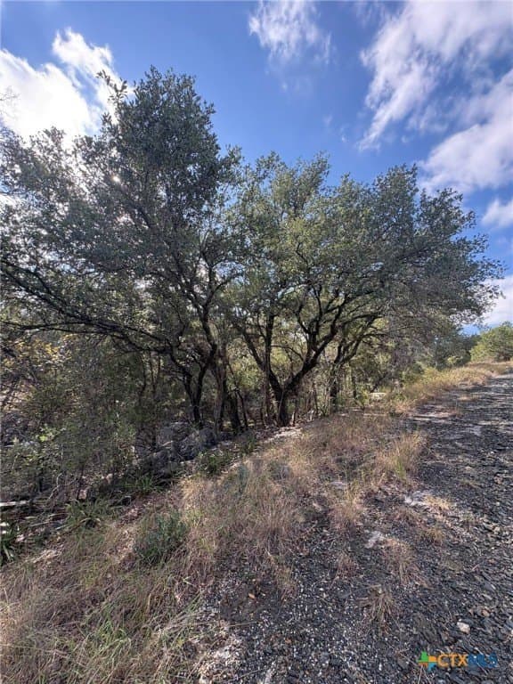 0.27 acres in Burnet County gallery image 4