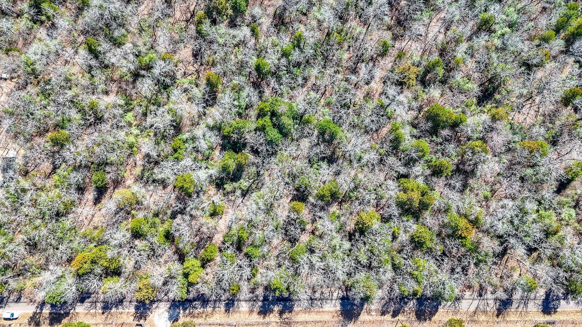 1 acres in Freestone County - photo 5