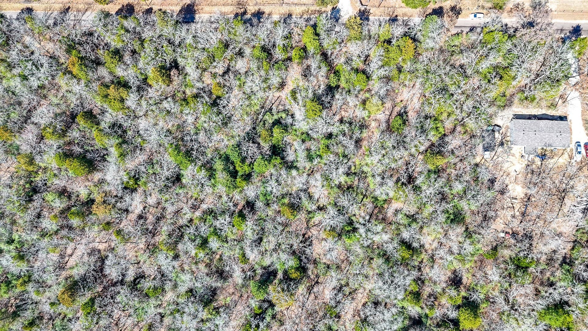 1 acres in Freestone County - photo 11