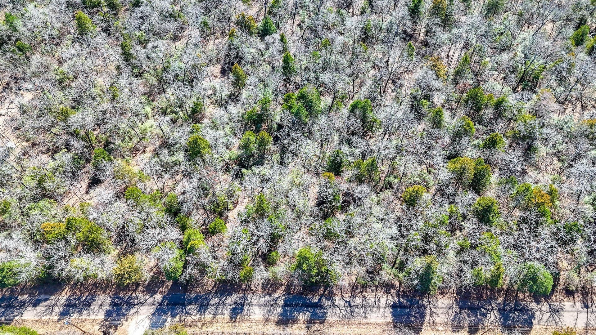1 acres in Freestone County - photo 8