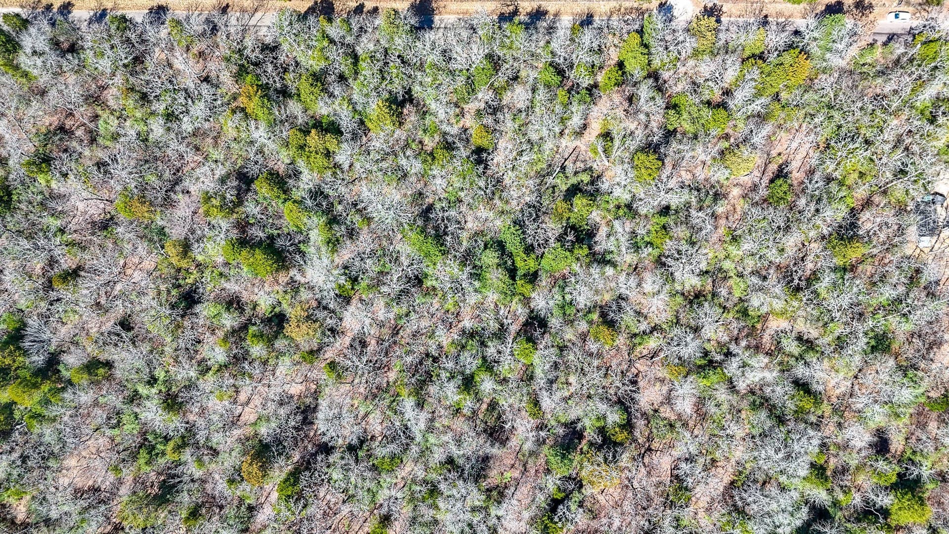 1 acres in Freestone County - photo 10