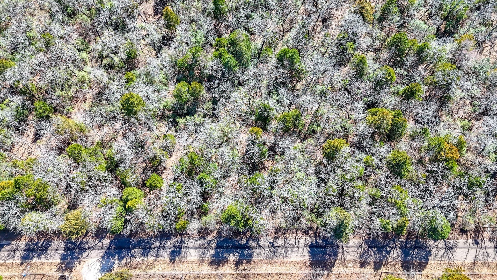 1 acres in Freestone County - photo 7
