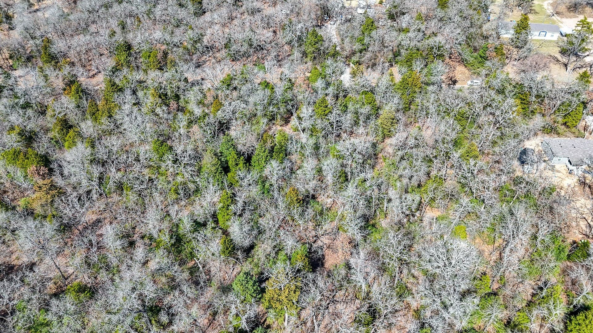 1 acres in Freestone County - photo 3