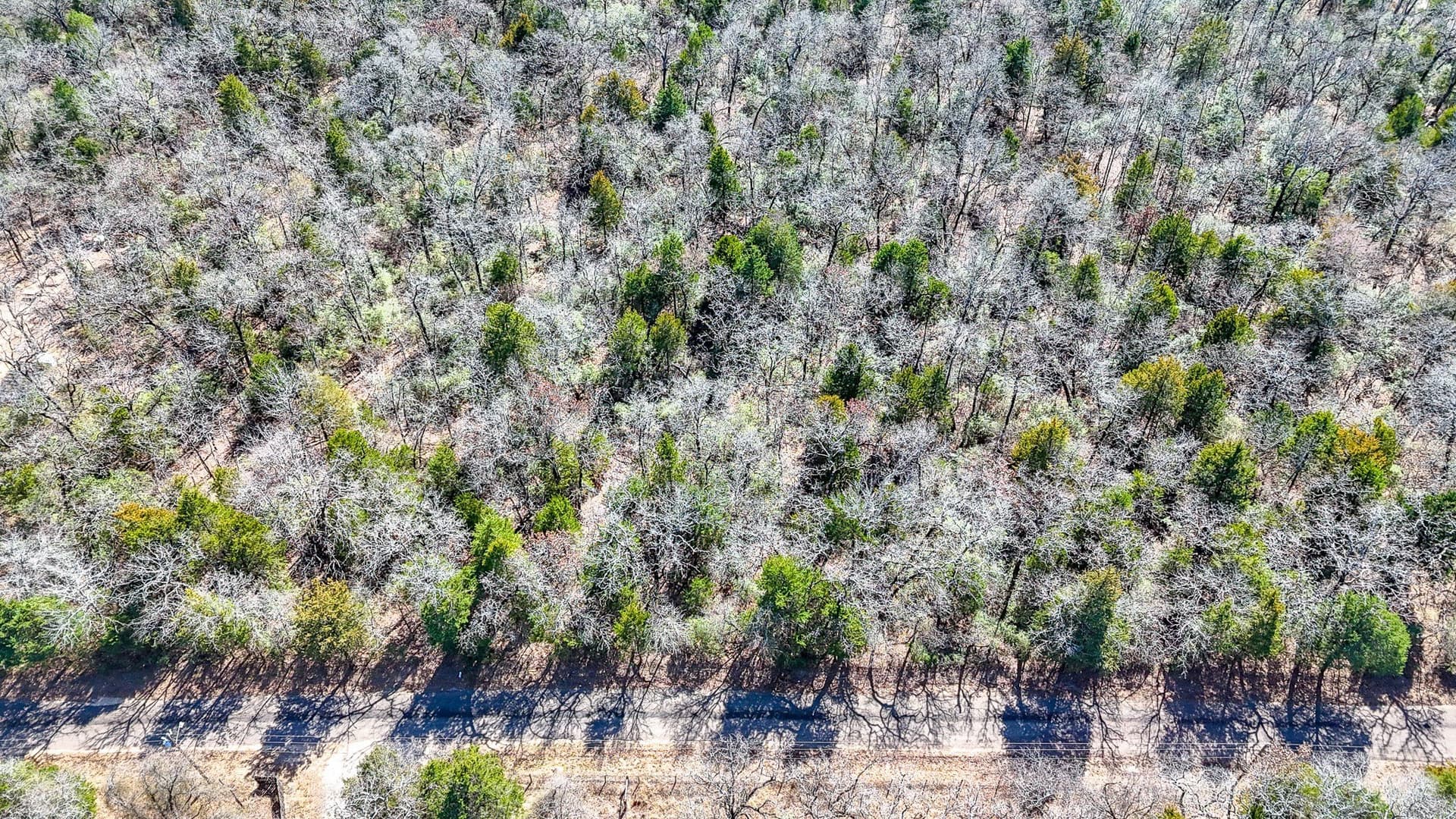 1 acres in Freestone County - photo 9