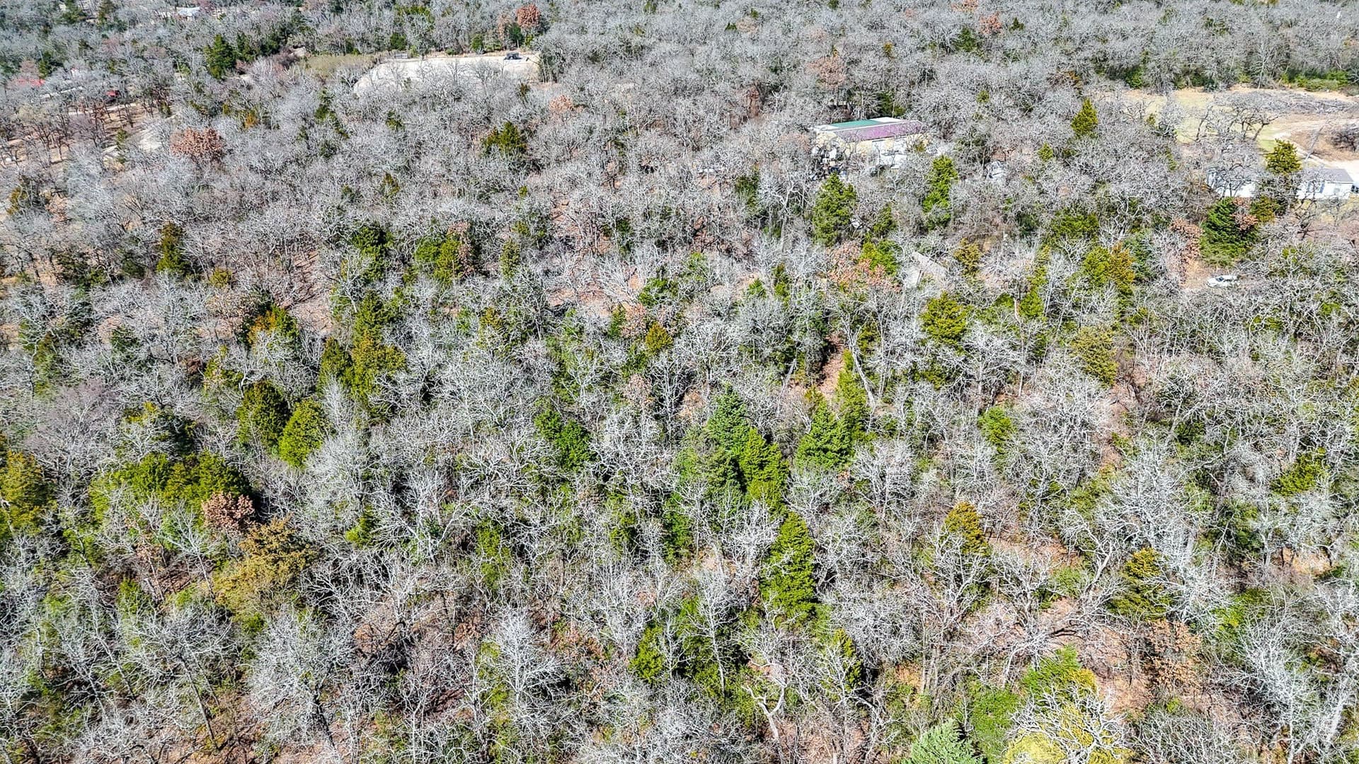 1 acres in Freestone County - photo 12