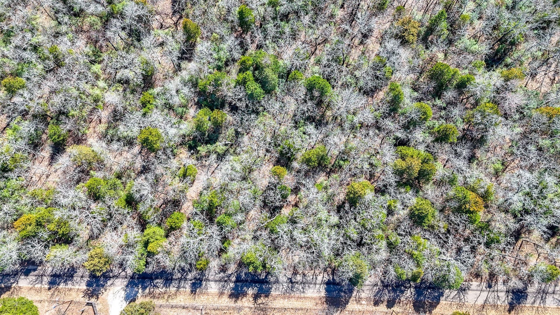 1 acres in Freestone County - photo 6