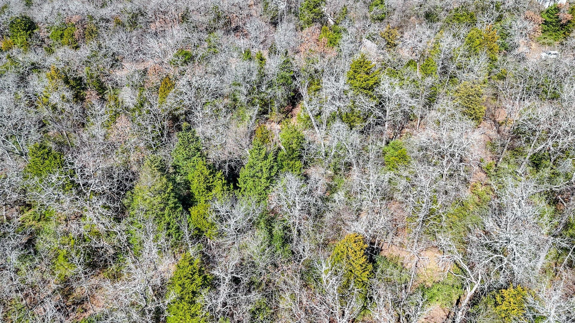 1 acres in Freestone County - photo 13