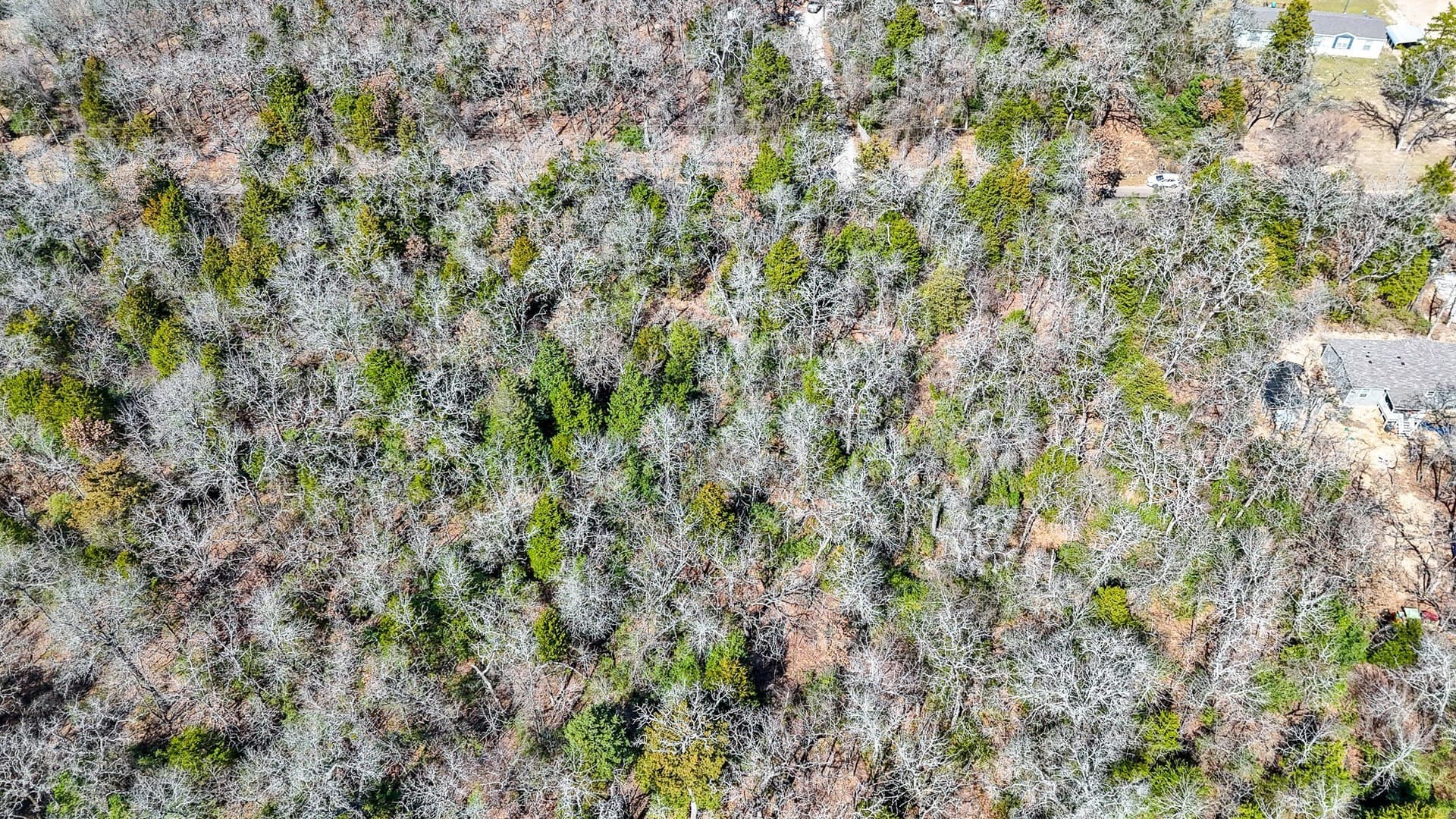 1 acres in Freestone County - photo 2