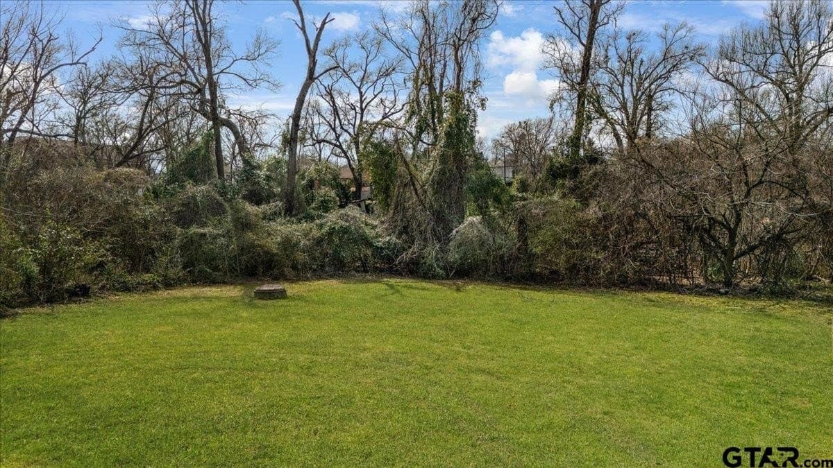 0.43 acres in Smith County - photo 14