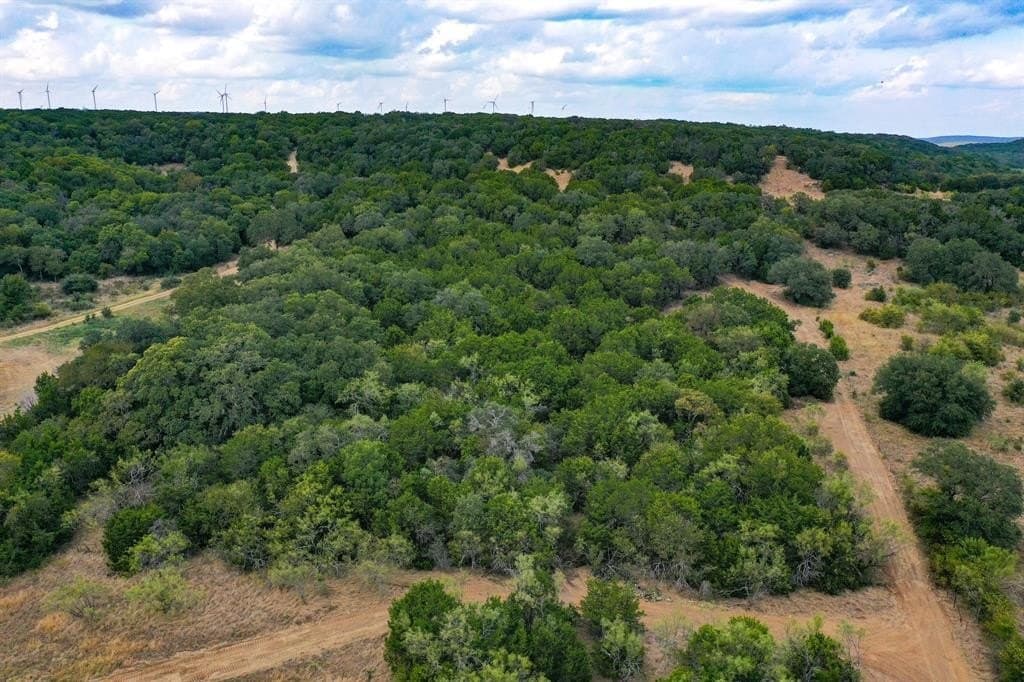 79 acres in Jack County gallery image 4