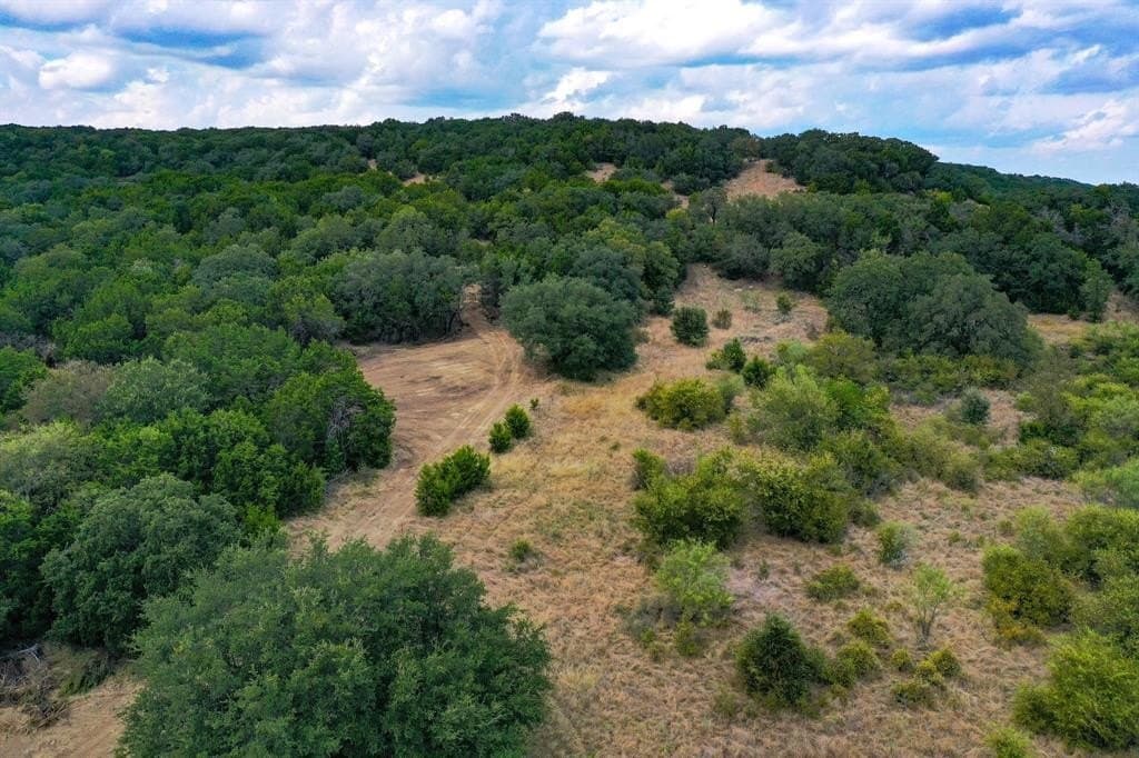 79 acres in Jack County featured view