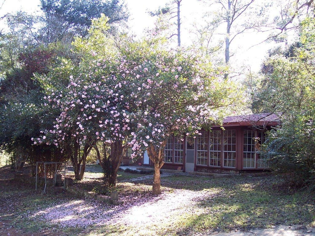 15 acres in Texas County gallery image 2