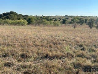 2.75 acres in Parker County - photo 14