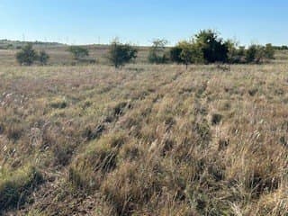 2.75 acres in Parker County - photo 15
