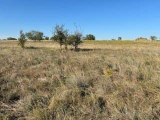 2.75 acres in Parker County - photo 16