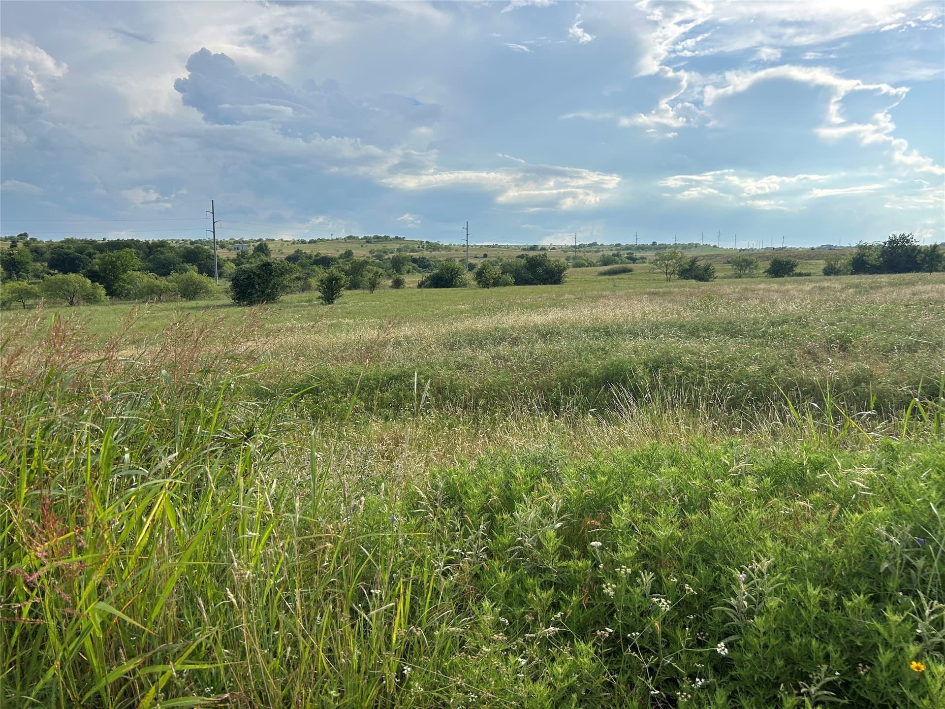 2.75 acres in Parker County - photo 4
