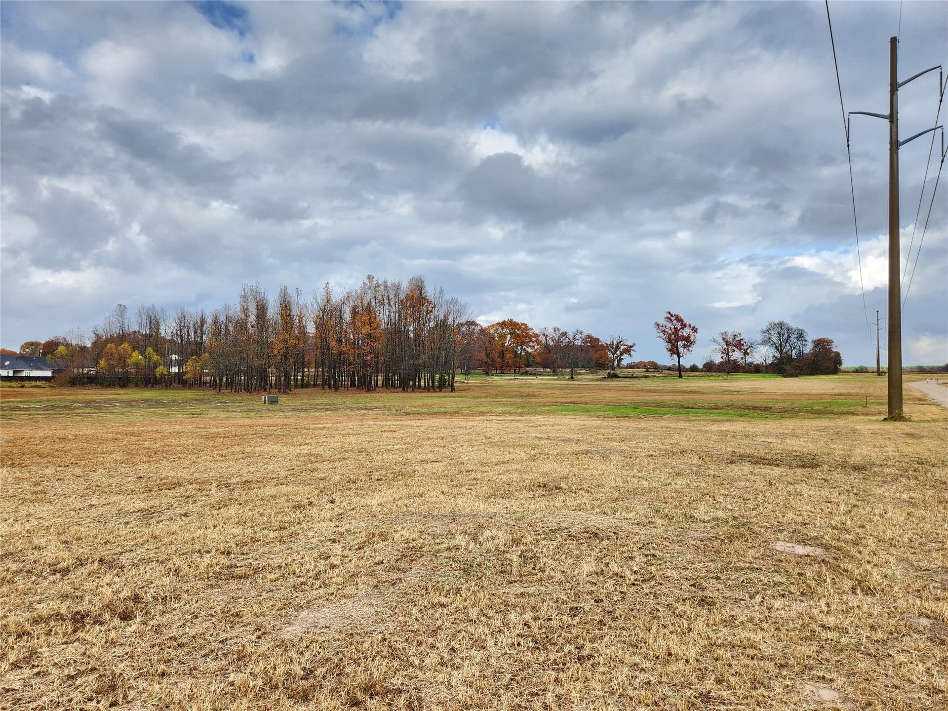 8.61 acres in Wood County gallery image 3