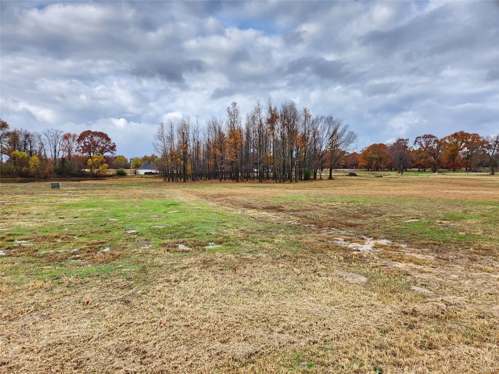 8.61 acres in Wood County gallery image 4