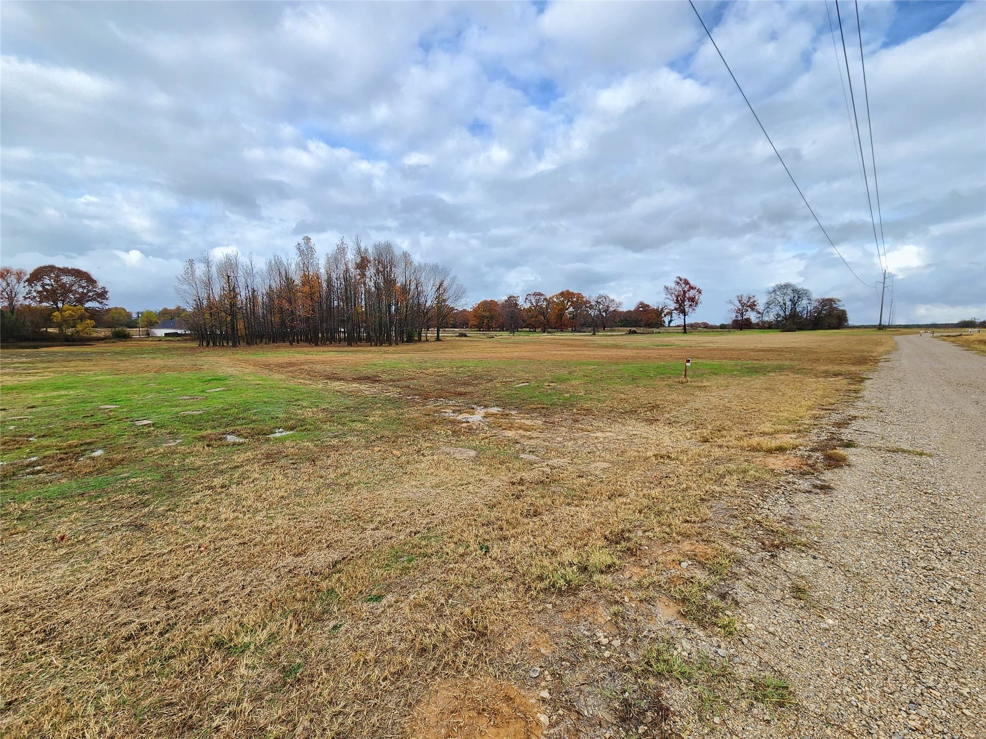 8.61 acres in Wood County - photo 6