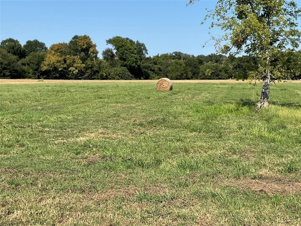 1.02 acres in Navarro County gallery image 3