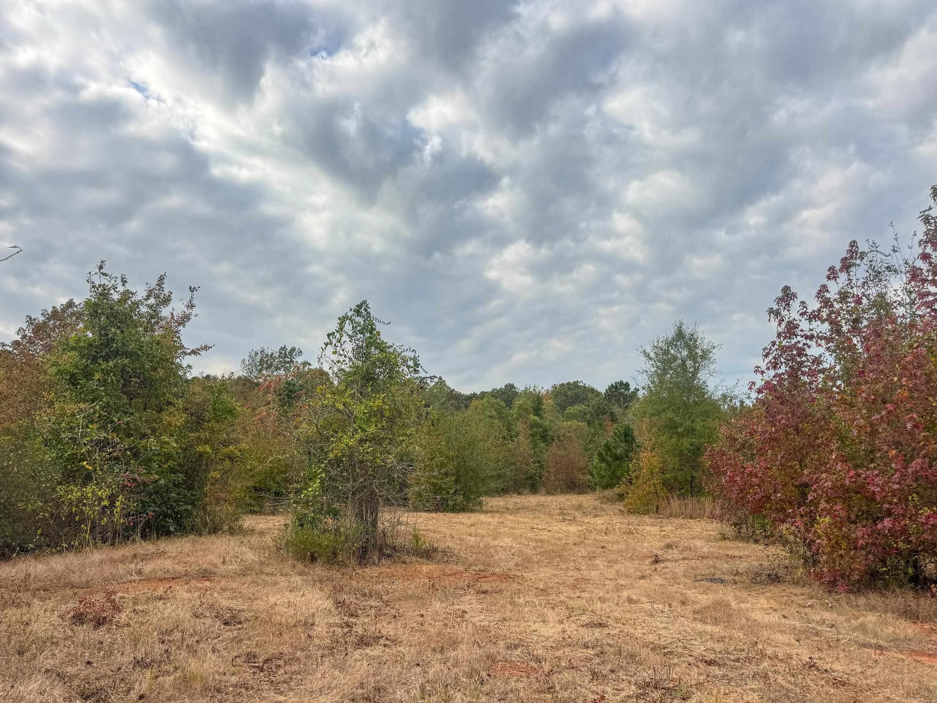92.41 acres in Cass County - photo 15