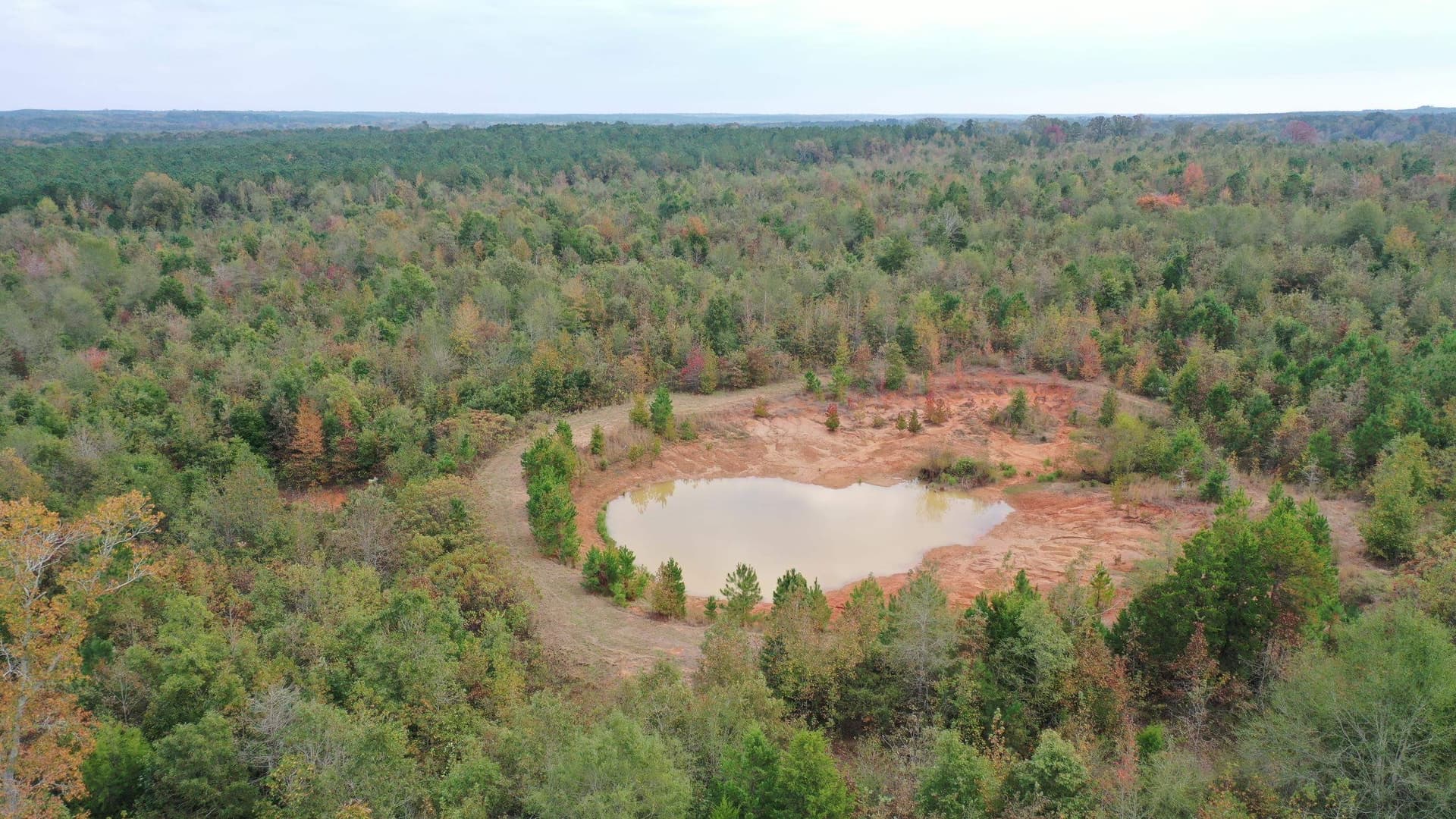 92.41 acres in Cass County - photo 10