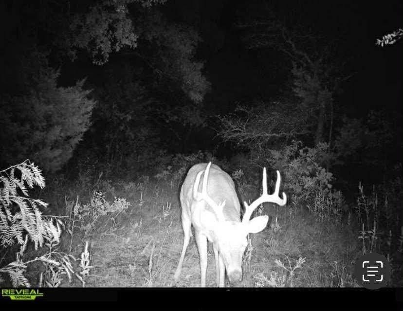 92.41 acres in Cass County - photo 29