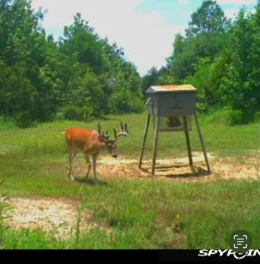 92.41 acres in Cass County - photo 28