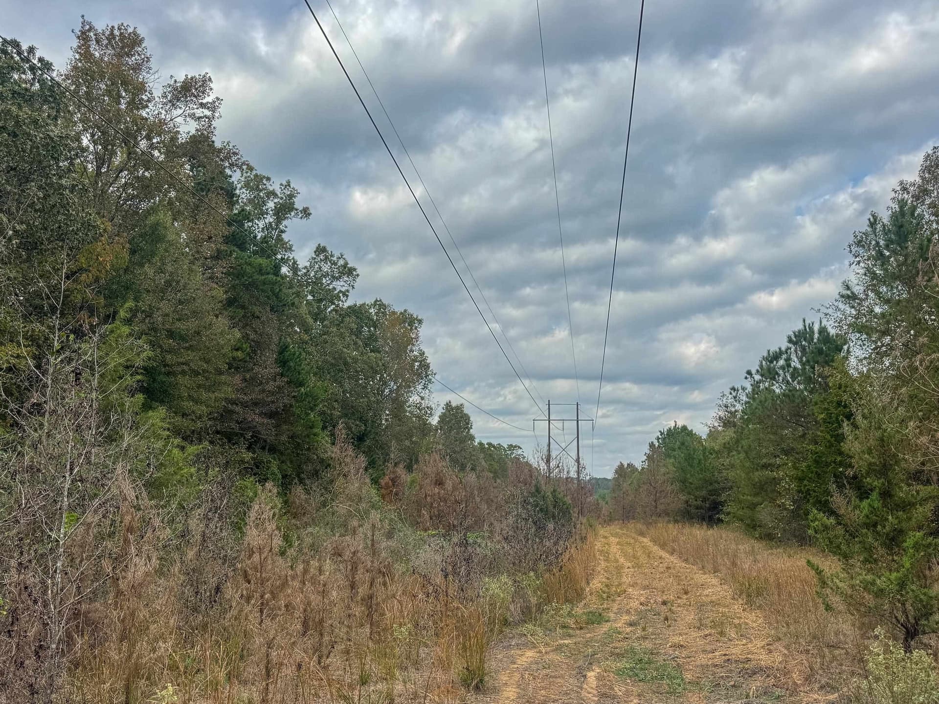 92.41 acres in Cass County - photo 26