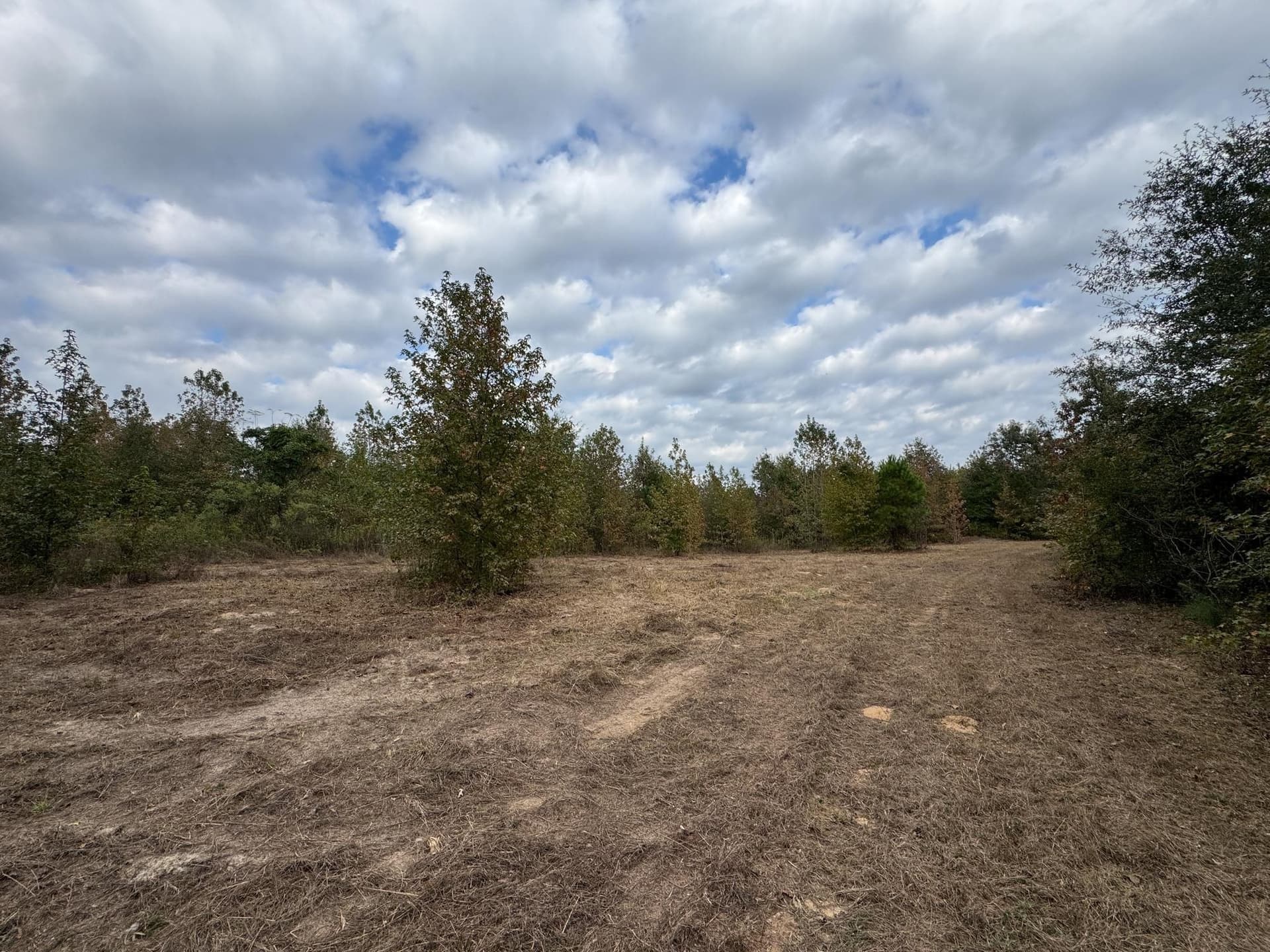 92.41 acres in Cass County - photo 18