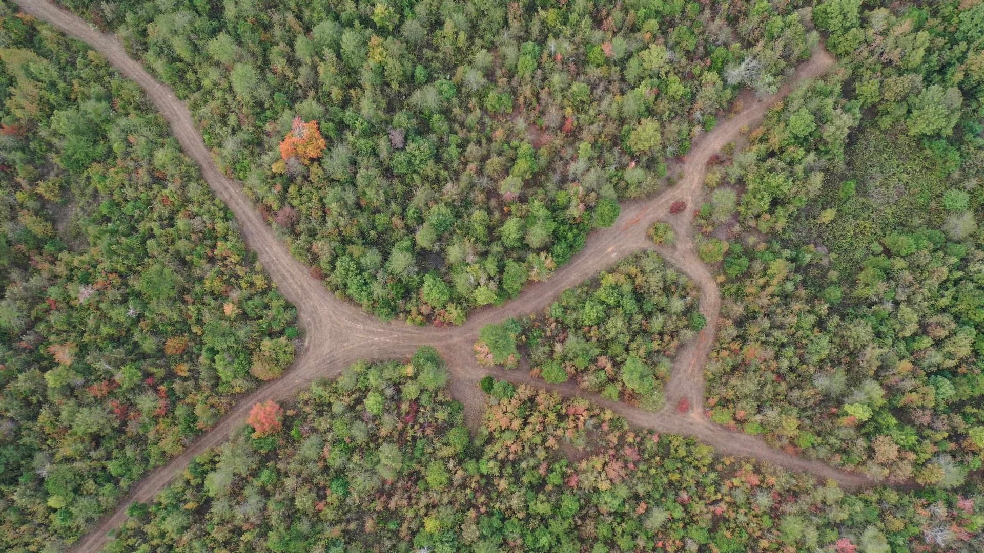 92.41 acres in Cass County - photo 12