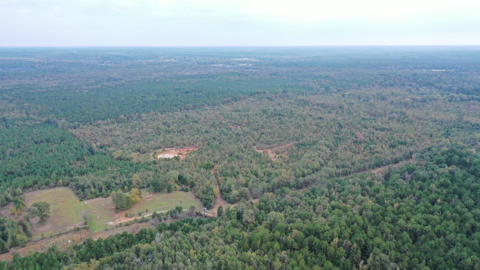 92.41 acres in Cass County - photo 6
