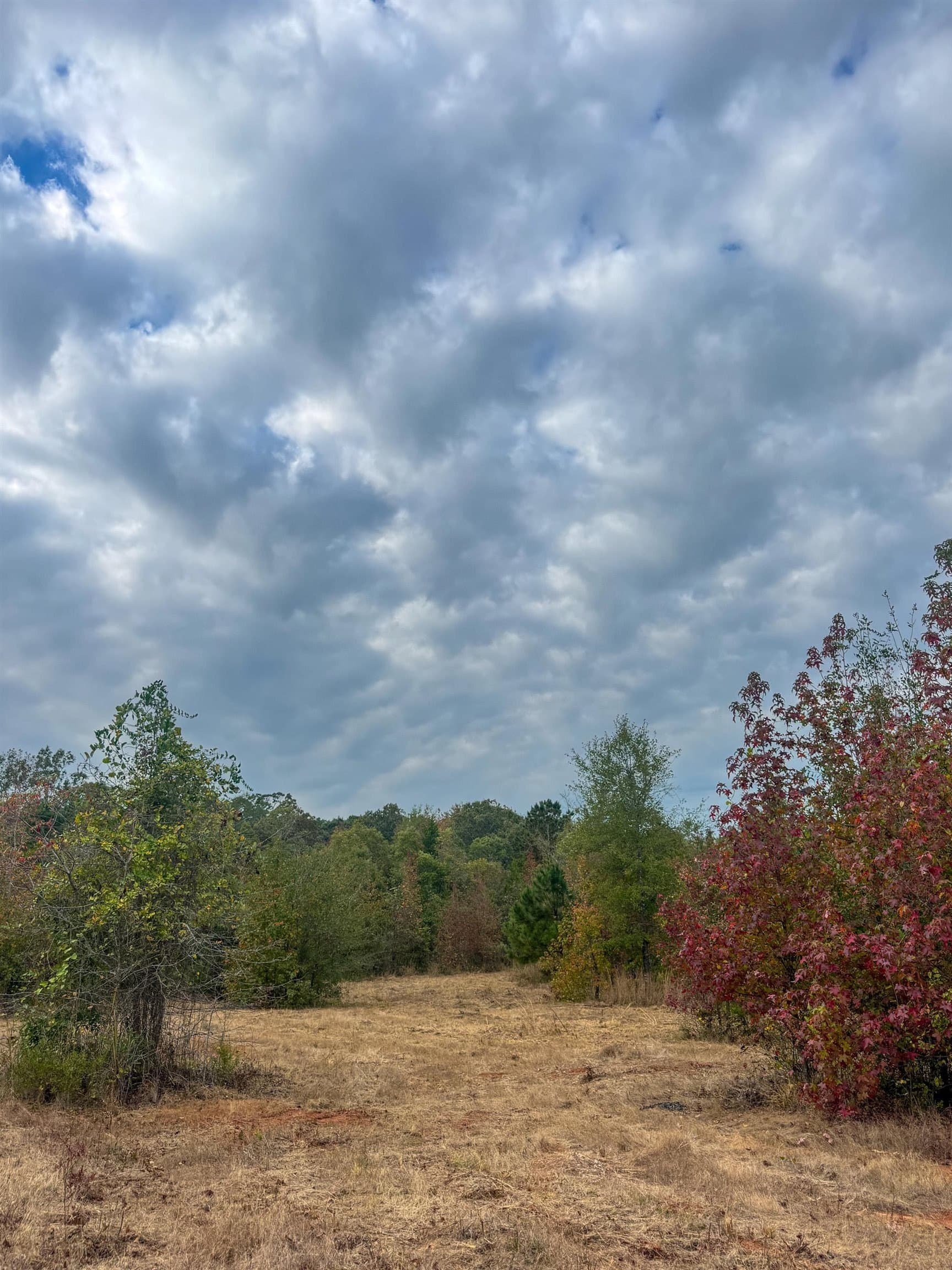 92.41 acres in Cass County - photo 8