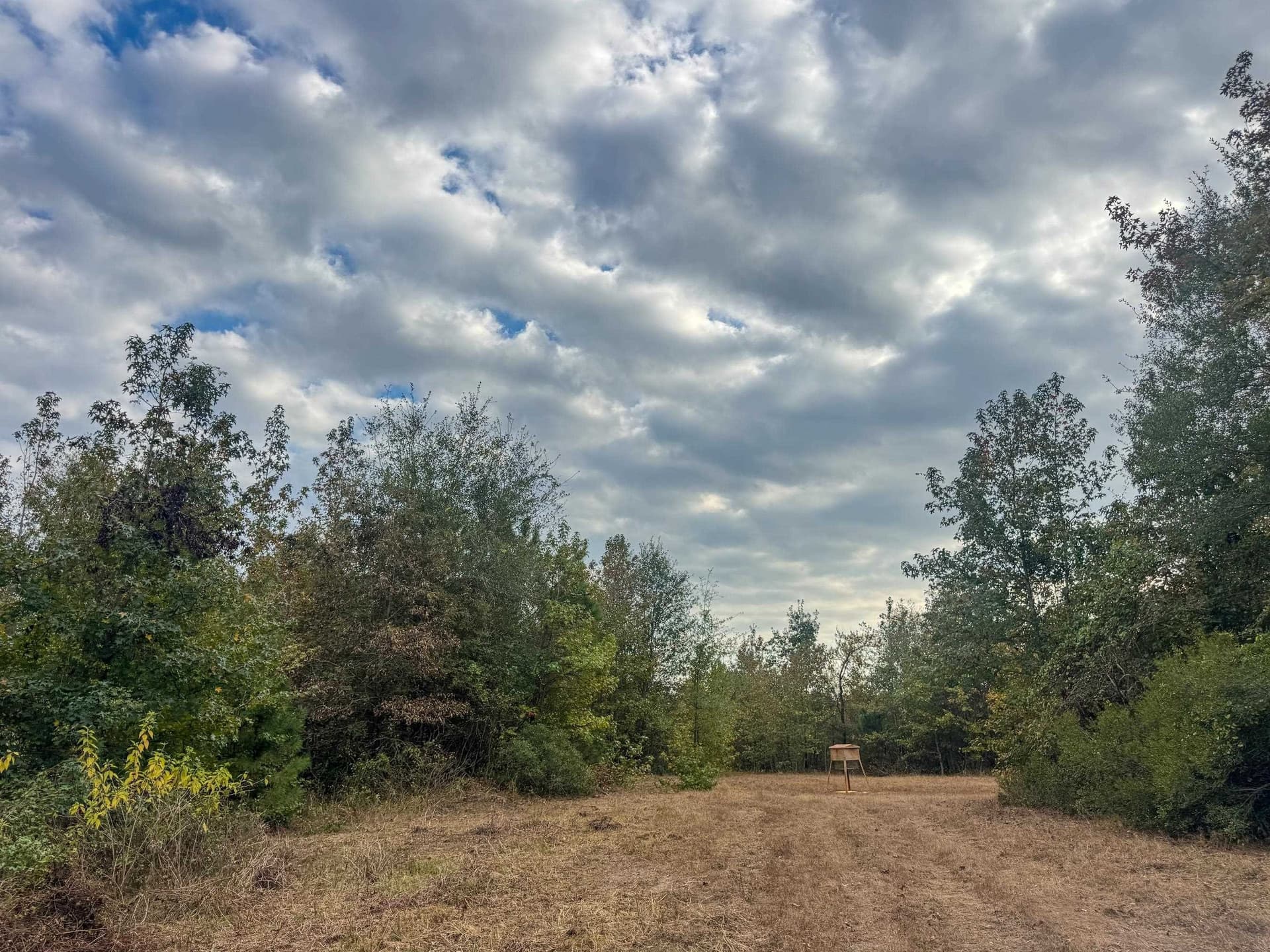 92.41 acres in Cass County - photo 17
