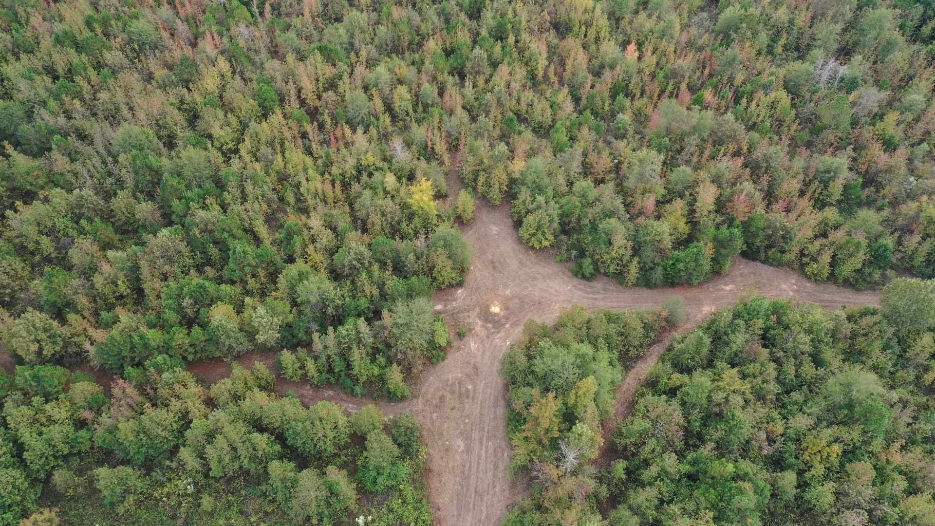 92.41 acres in Cass County - photo 13