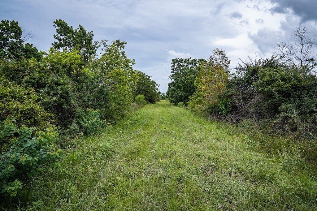 658.25 acres in Colorado County - photo 26