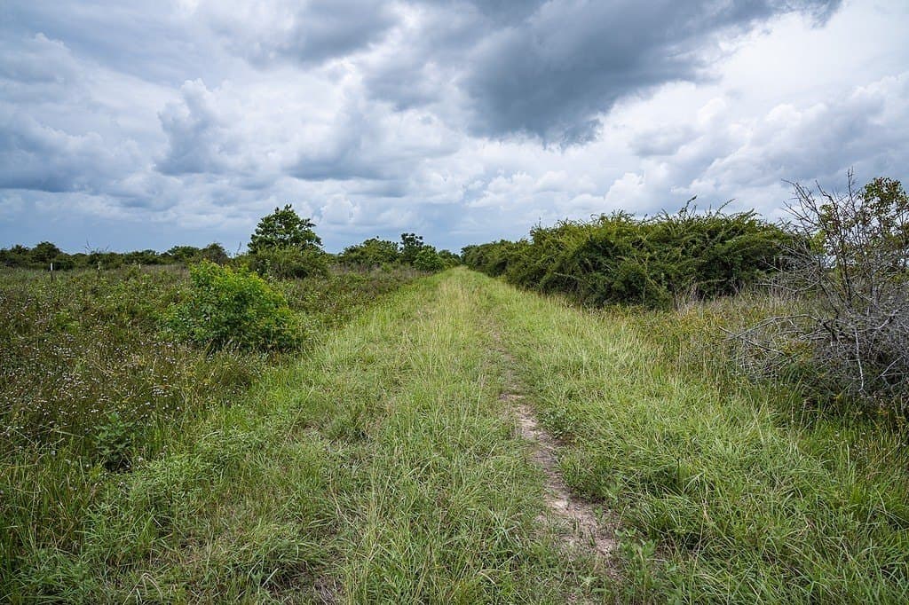 658.25 acres in Colorado County - photo 27