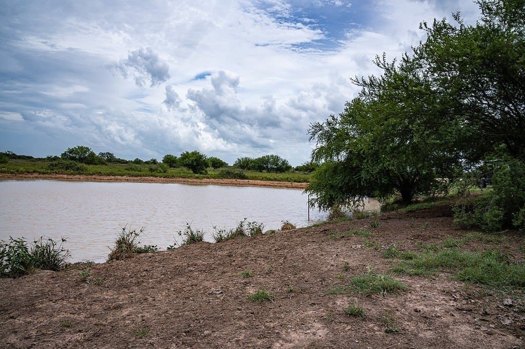 658.25 acres in Colorado County - photo 28