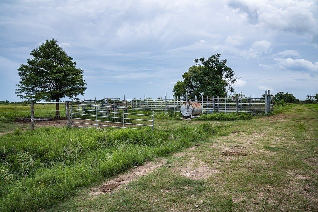 658.25 acres in Colorado County - photo 7