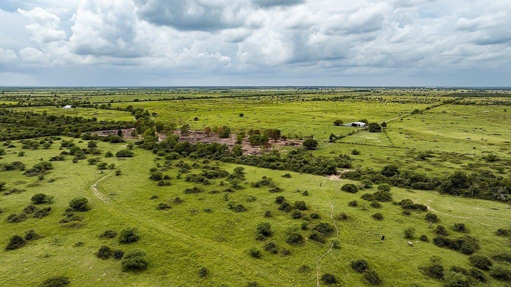 658.25 acres in Colorado County - photo 18