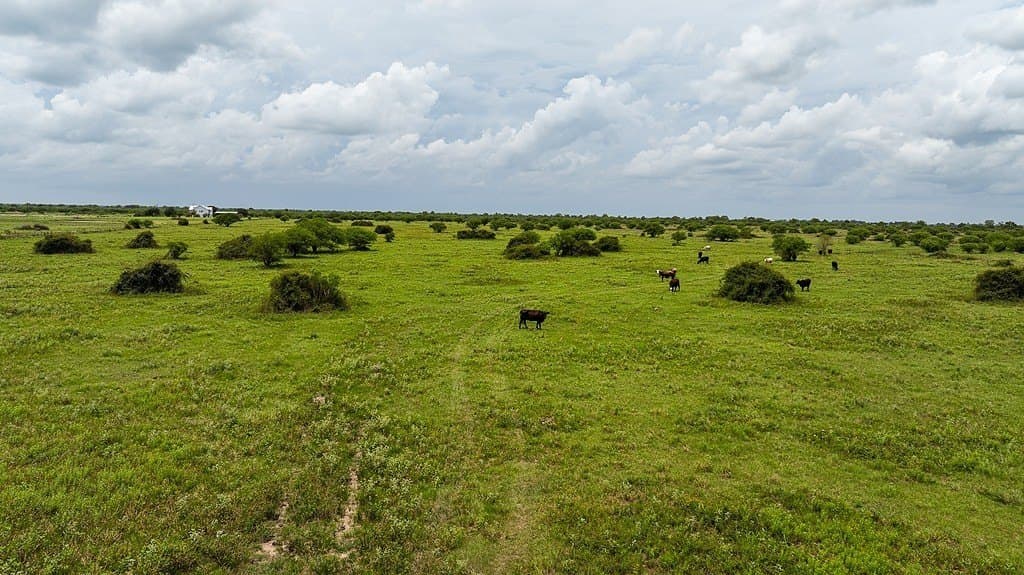 658.25 acres in Colorado County - photo 25