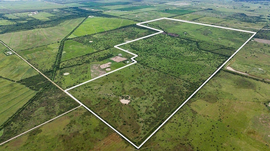 658.25 acres in Colorado County gallery image 2