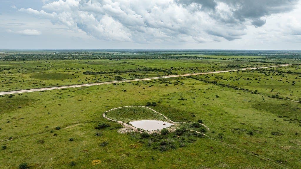 658.25 acres in Colorado County - photo 23