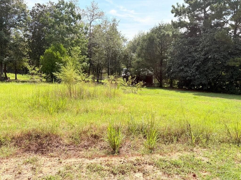 1.02 acres in Texas County - photo 12