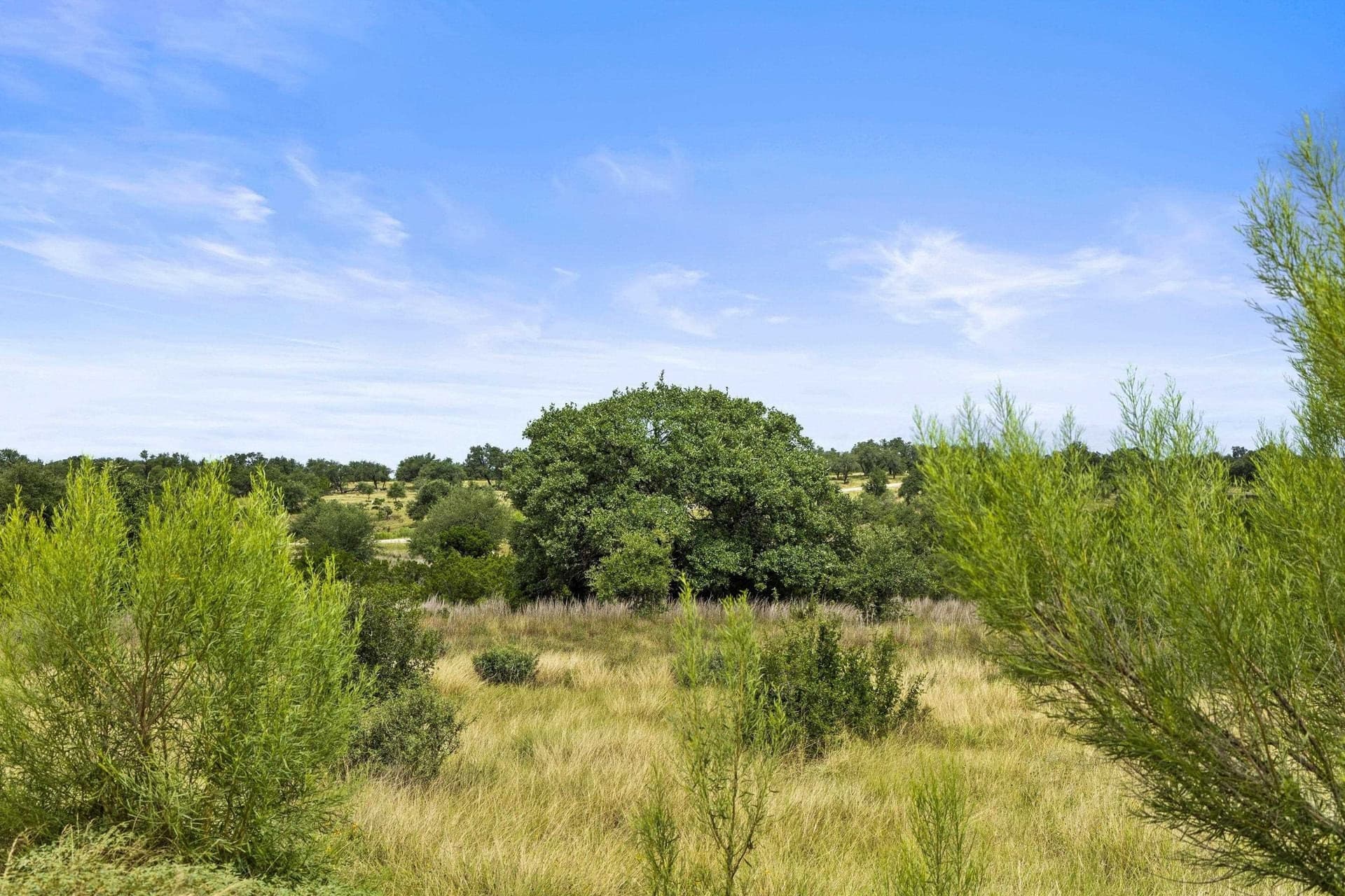 7.53 acres in Blanco County - photo 16