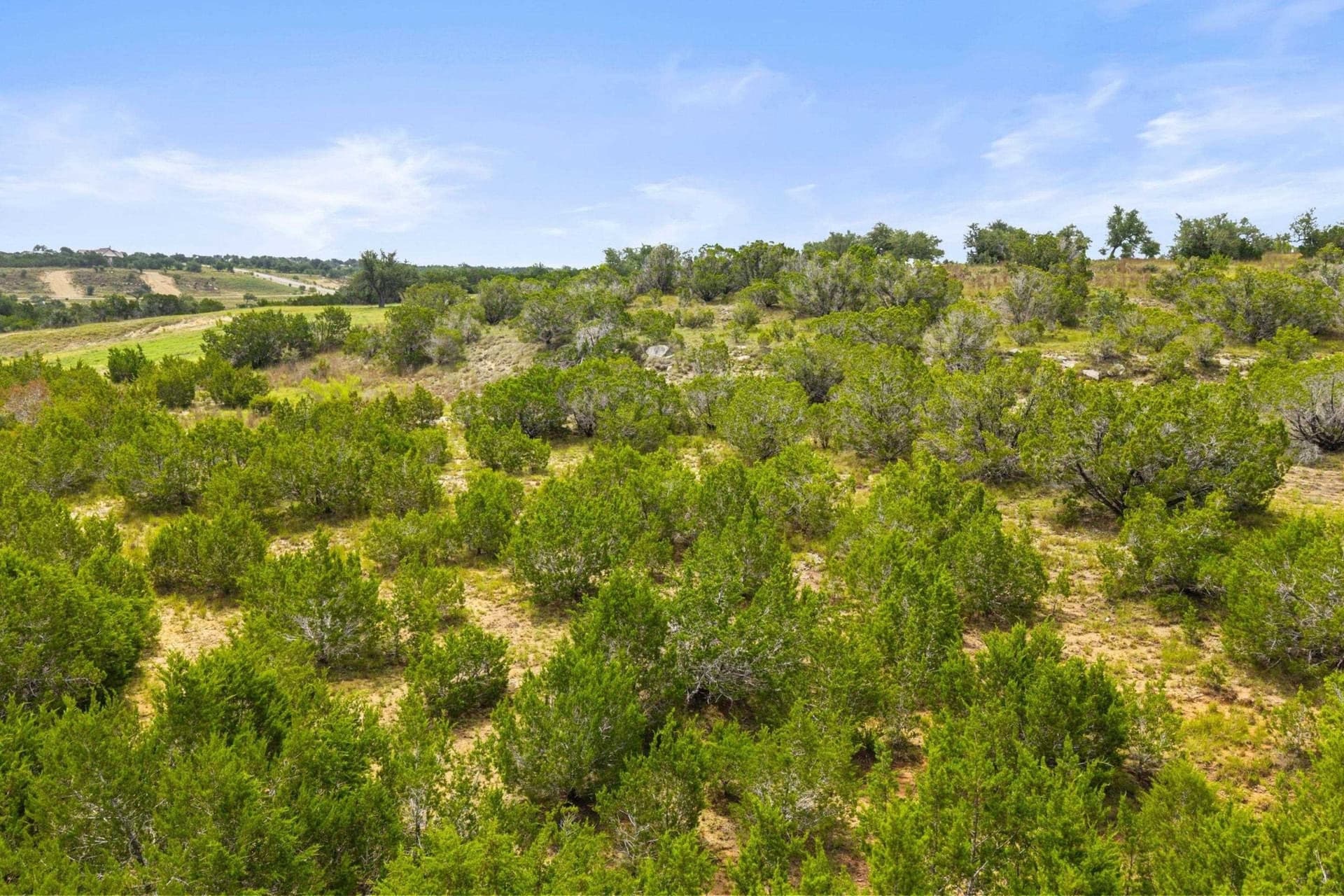 7.53 acres in Blanco County - photo 14