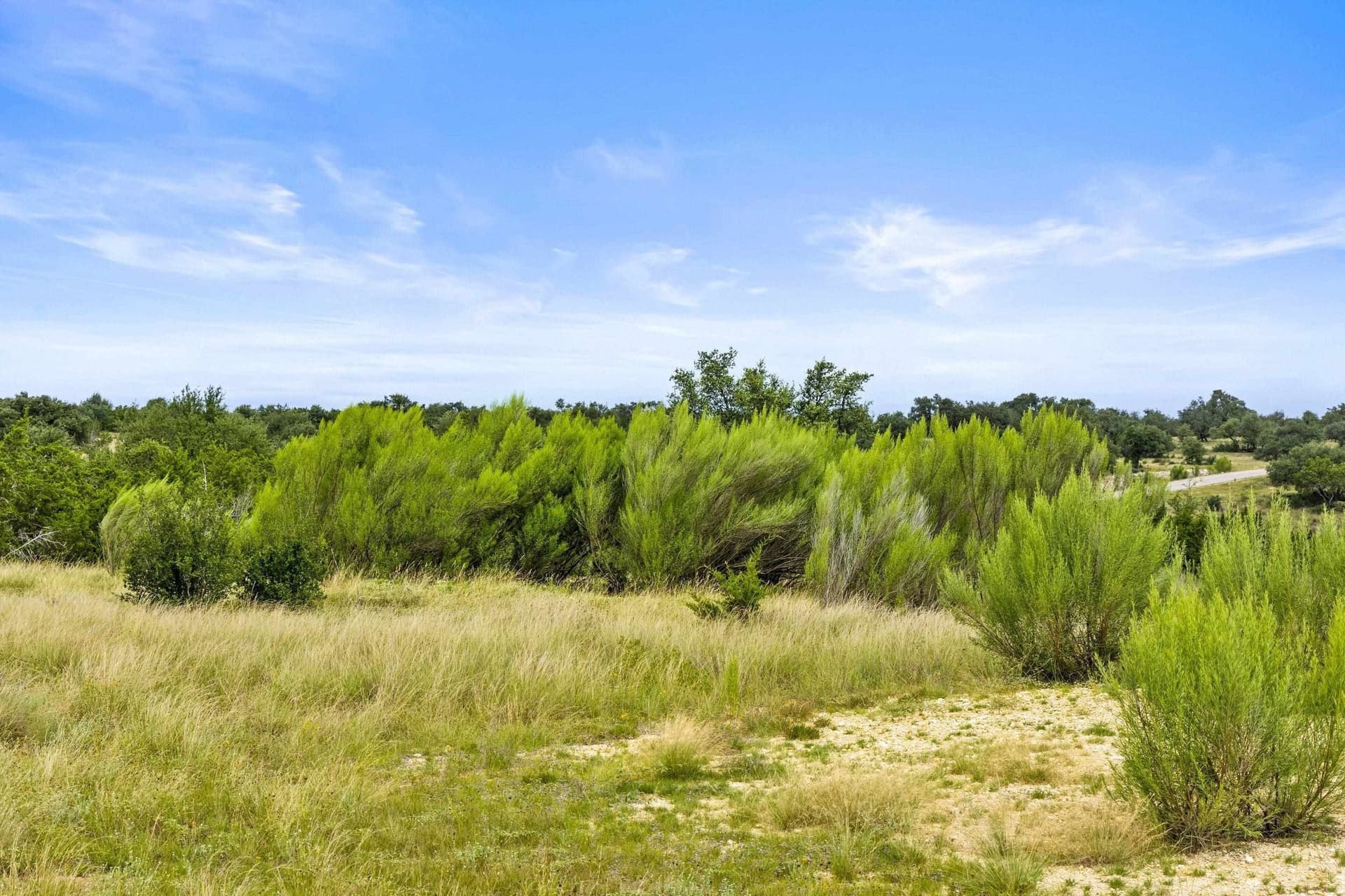 7.53 acres in Blanco County - photo 17
