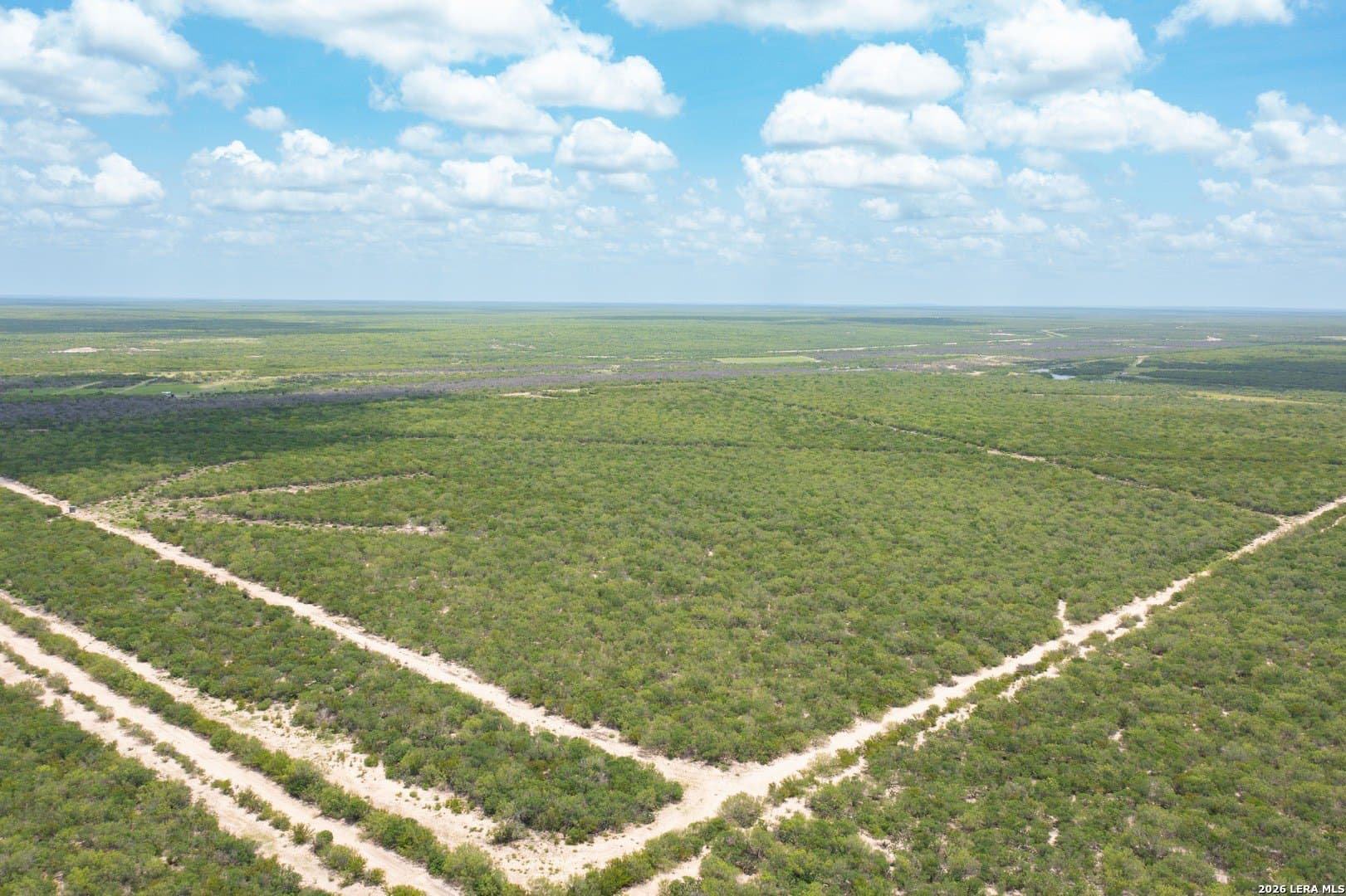 433 acres in Webb County - photo 24