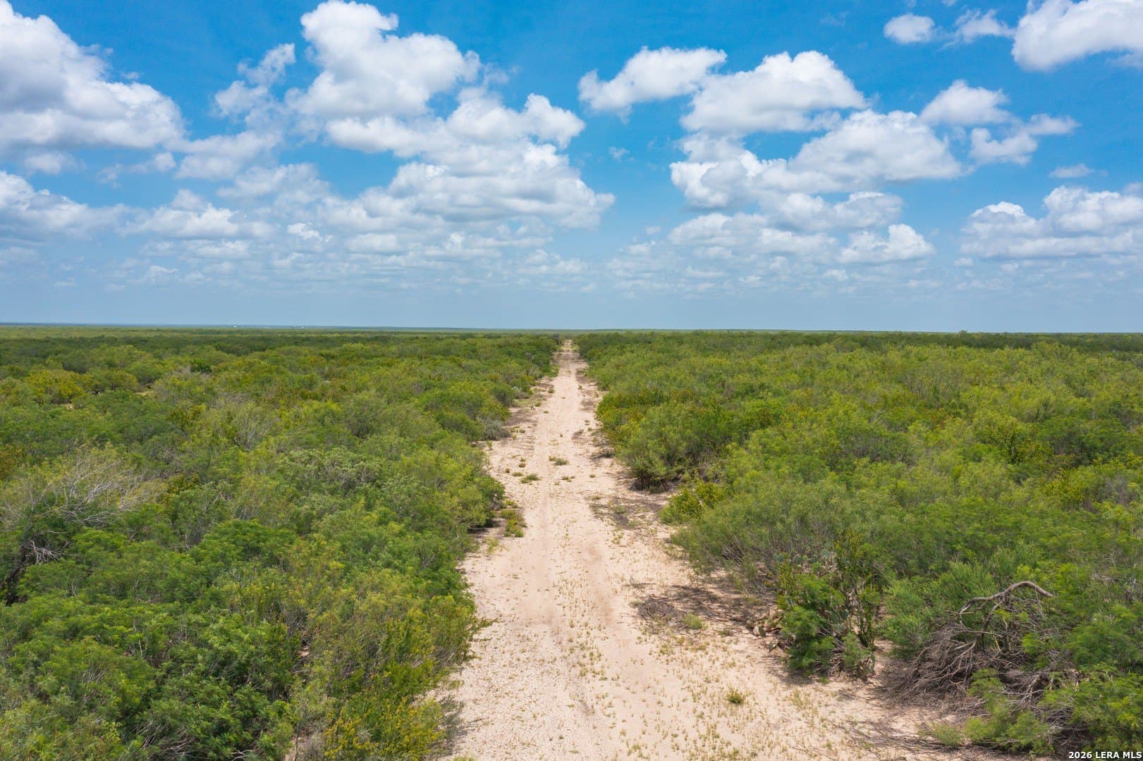 433 acres in Webb County - photo 23